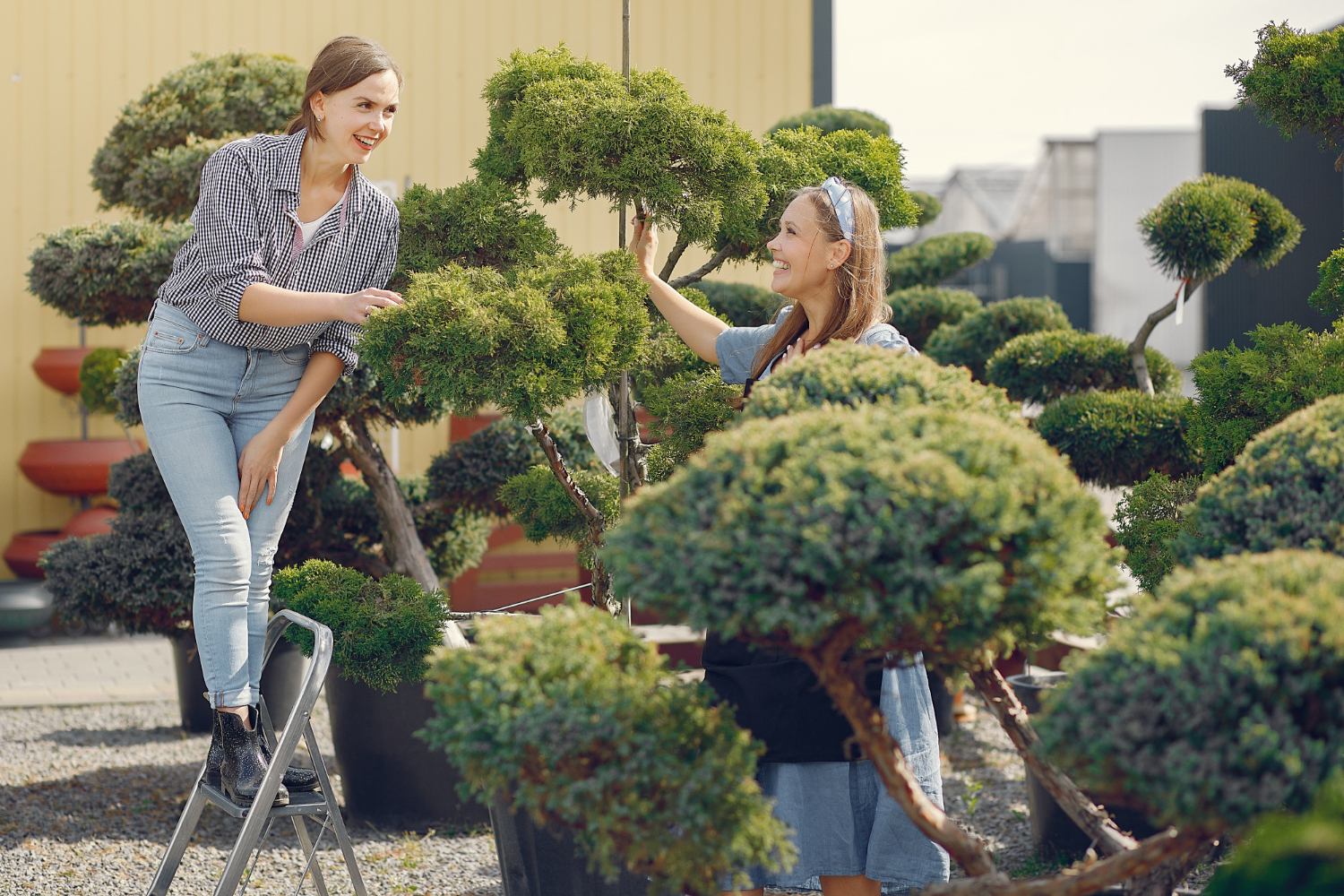 Create Your Perfect Garden with  Fixotrex  Landscape Experts